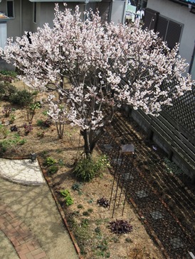 c0117898_1084510.jpg
