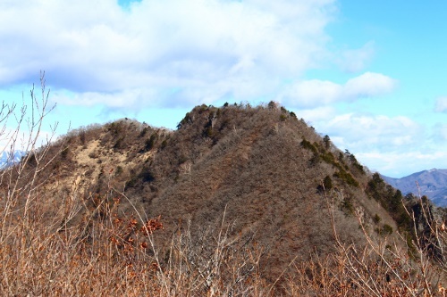 a0320601_17511127.jpg