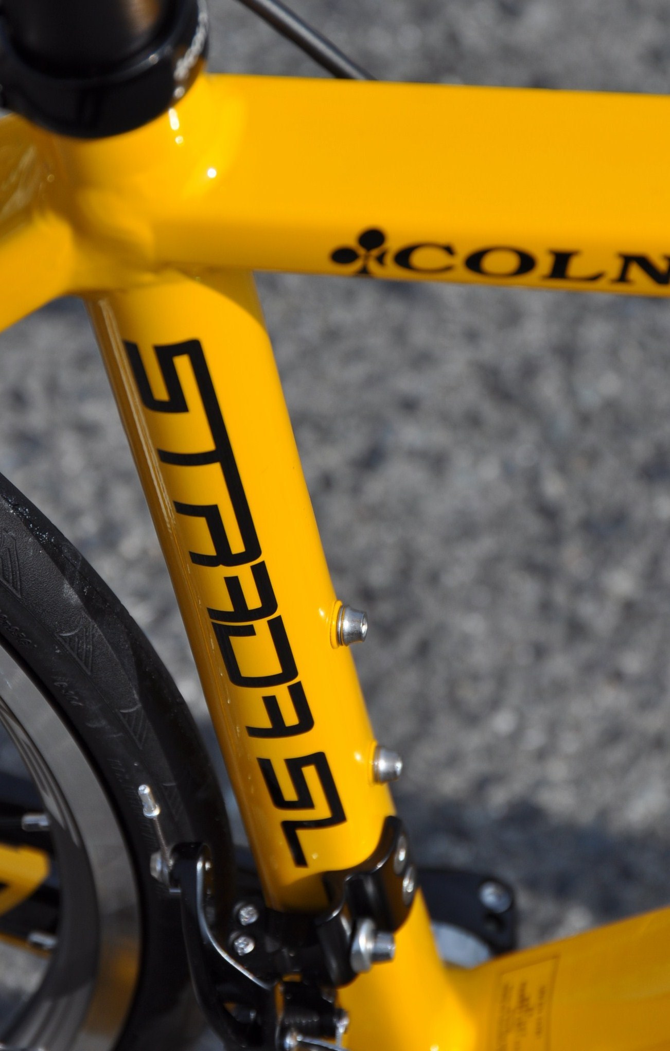 COLNAGO  STRADA SL イエロー_b0246207_20470168.jpg