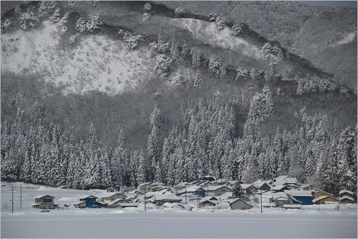 雪の日に　in winter : SIGMA SD1_c0065410_0361357.jpg