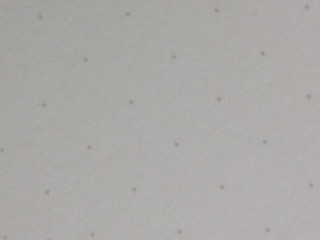 c0200314_2147363.jpg