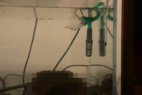水位を下げたい 27l 水位を下げたい 27l
