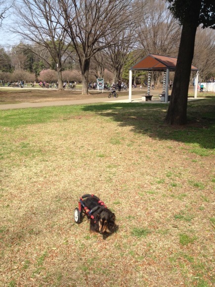 f0358427_00410760.jpg