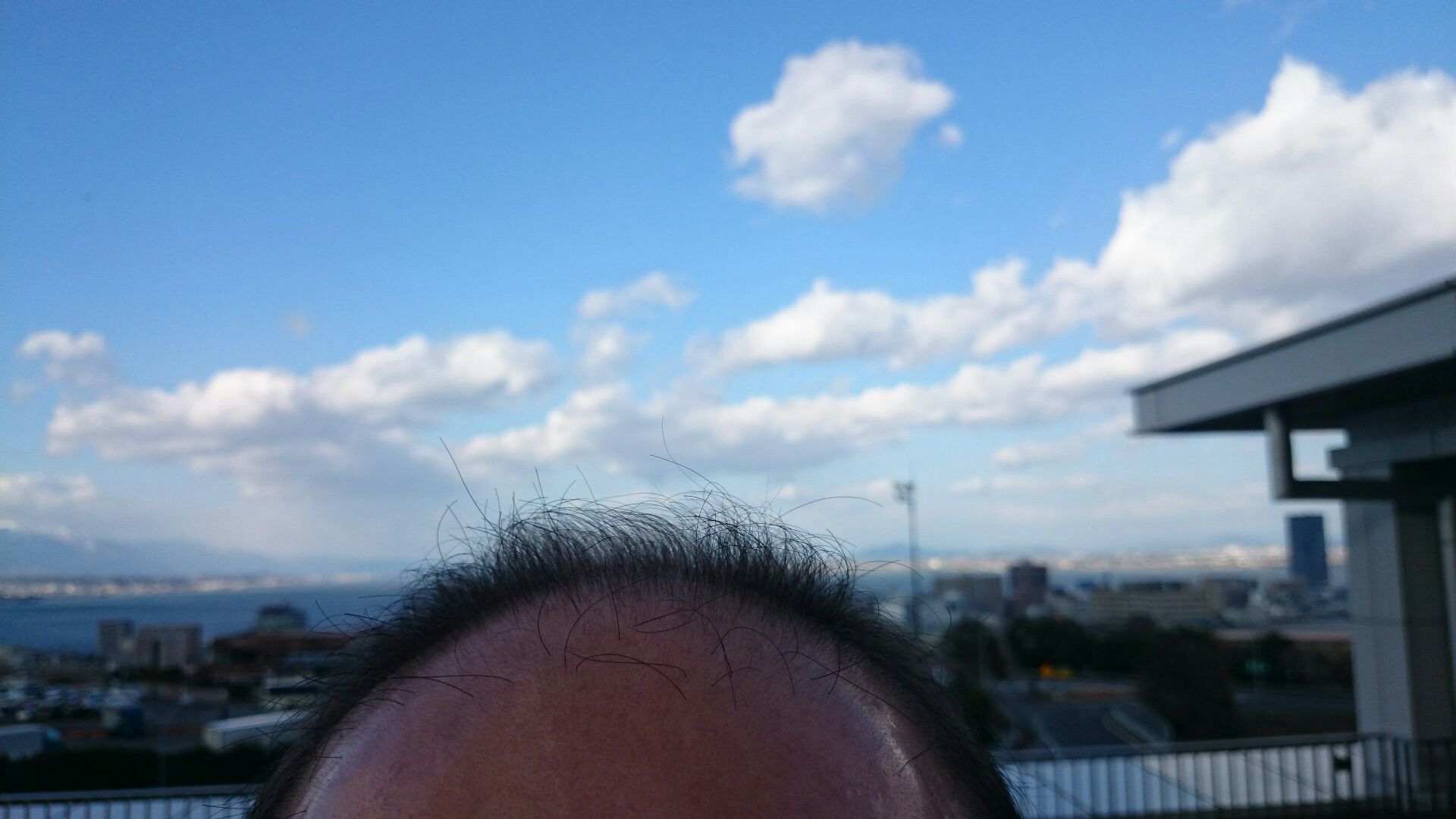 琵琶湖に浮かぶ島 にぎやかだ 私 琵琶湖に浮かぶ島 にぎやかだ 私