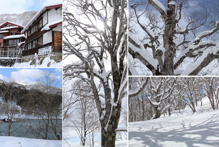 雪の小谷温泉へ_a0212730_1913437.jpg
