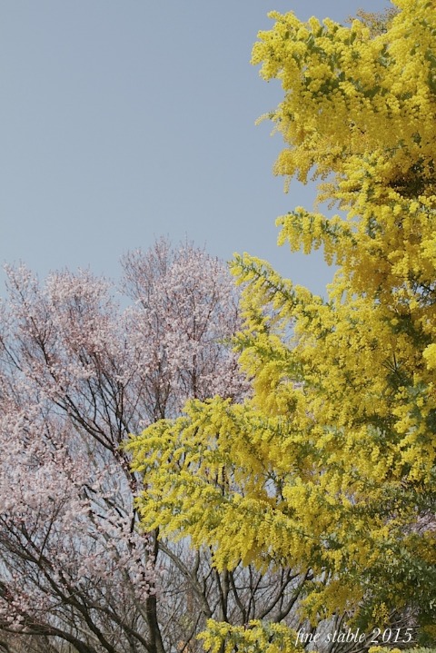 c0240132_6143870.jpg