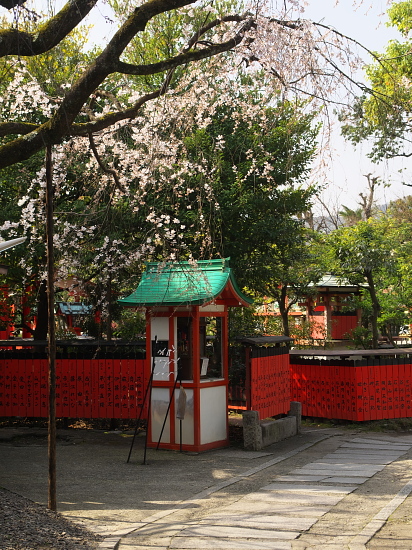 桜だより2015～車折神社～_e0080133_2339996.jpg