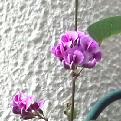 c0348441_22371983.jpg