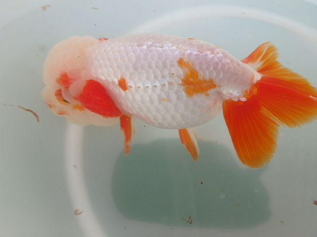 f0334143_922981.jpg