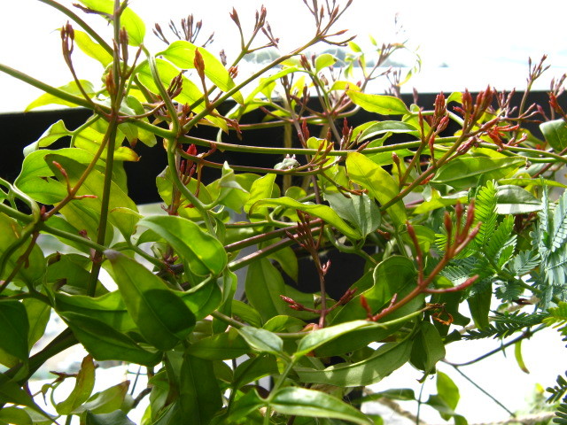 c0350949_16131567.jpg