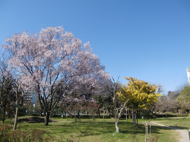 f0329849_16202399.jpg