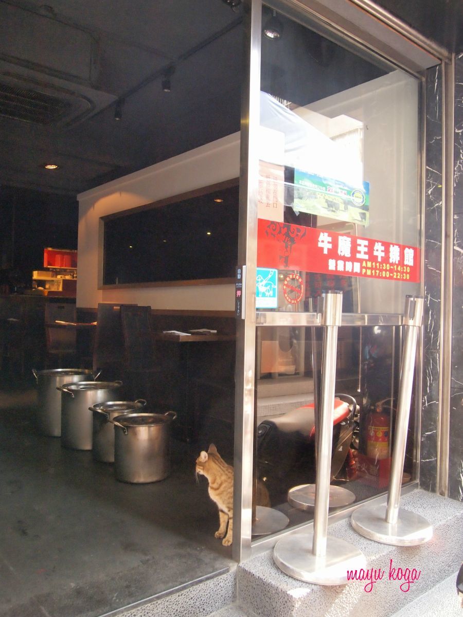 台湾のペット事情_e0255060_01575957.jpg