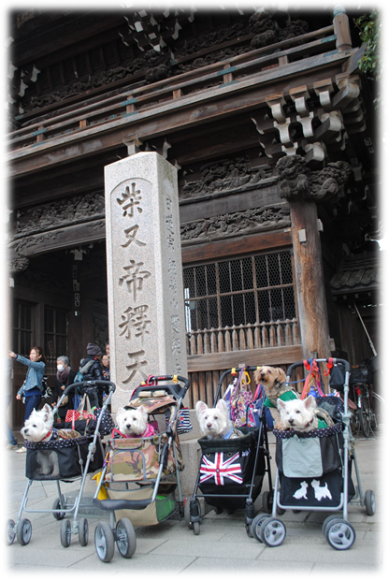 b0242873_09421879.png