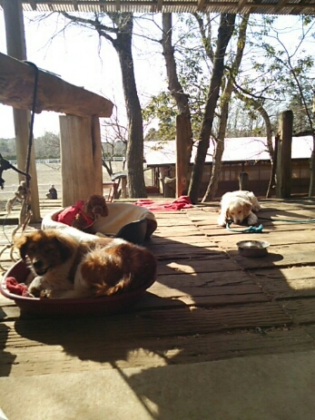 c0214384_17171791.jpg