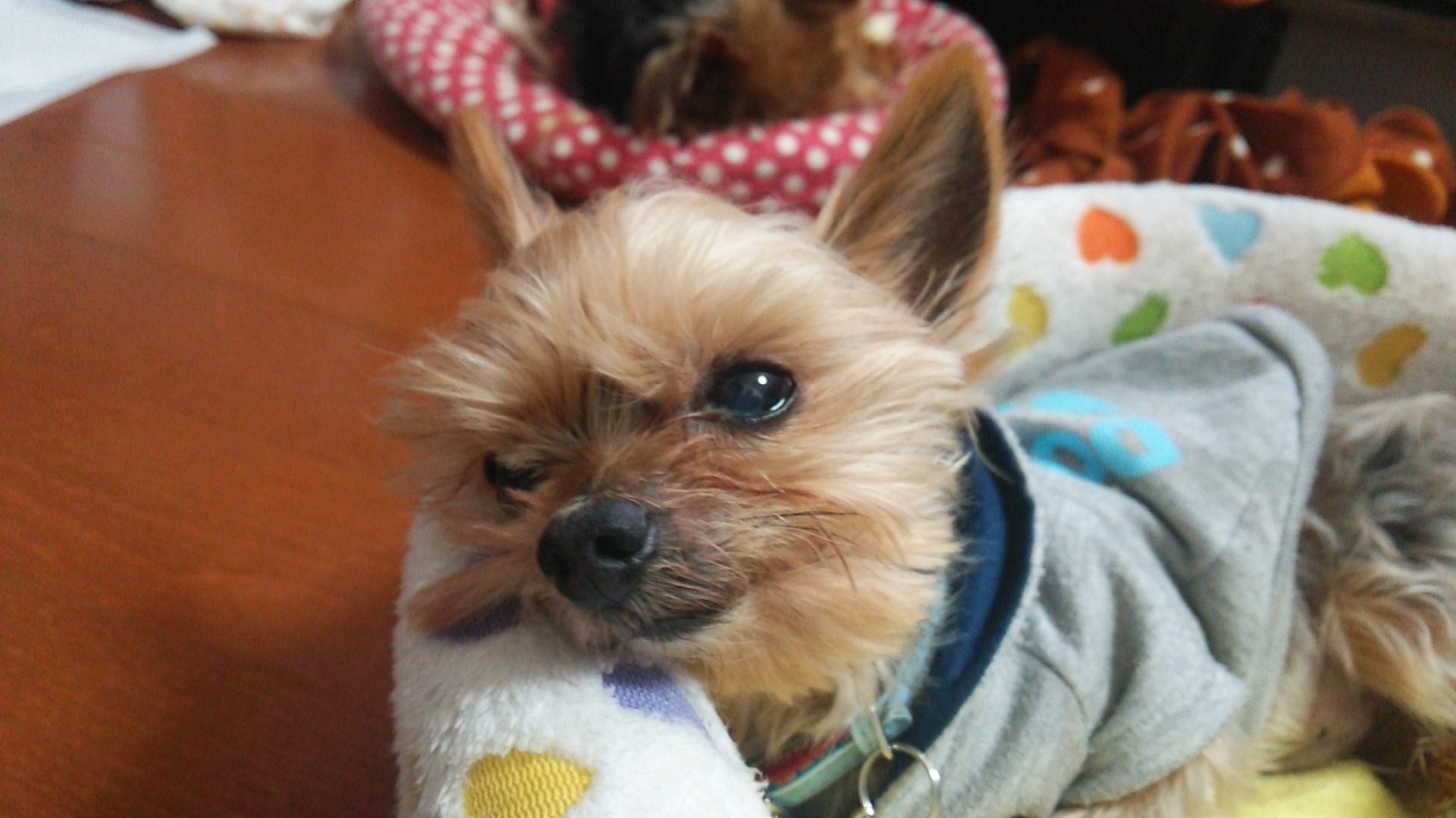 c0191390_21523246.jpg