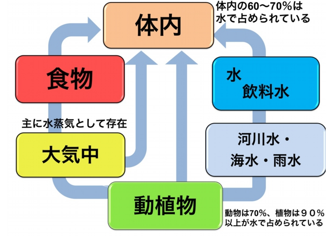 e0068696_904324.png