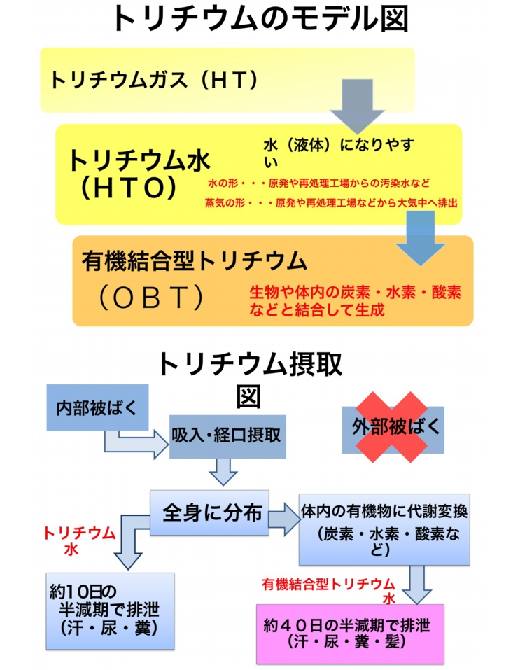 e0068696_911026.png