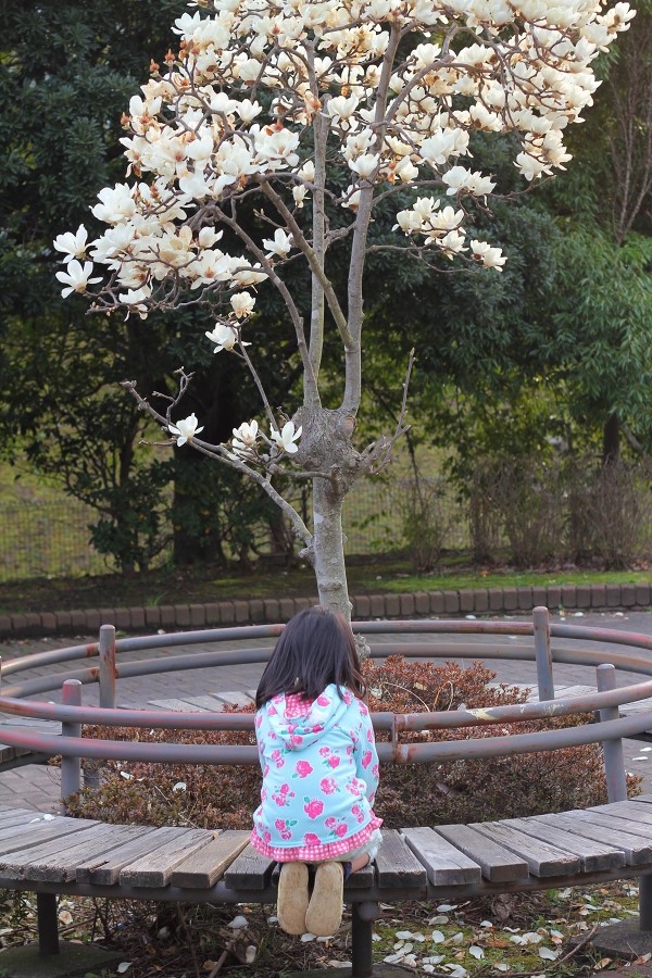 春を感じる公園遊び_c0204298_2356268.jpg