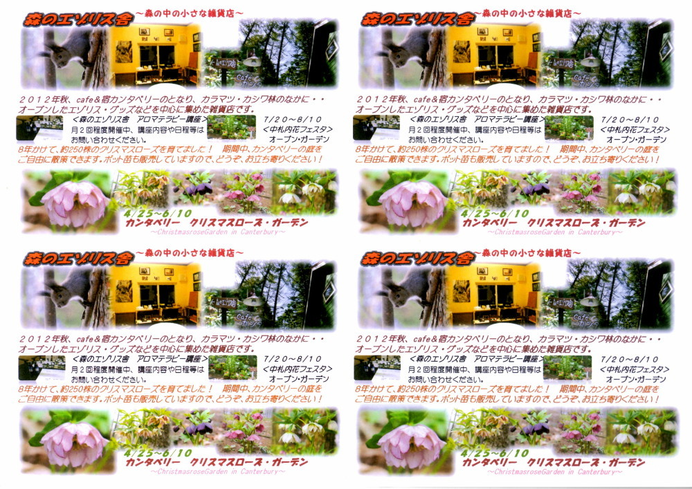 ”Café＆宿カンタベリー”＆”森のエゾリス舎”2015新しいパンフレットが出来ました。_f0276498_23233911.jpg