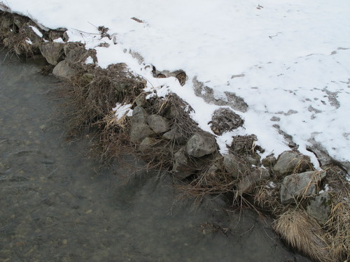 最上川河畔を散歩、３月２６日（春分・次候）桜始めて開く・・・２_c0075701_9485780.jpg