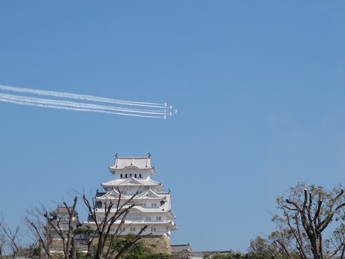 「 ブルーインパルス 」 祝賀飛行！_e0289203_16422536.jpg