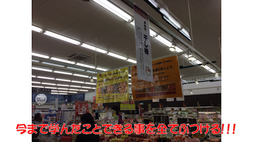 f0070004_16353354.png