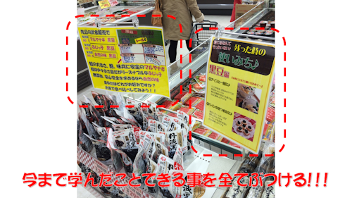 f0070004_16353576.png