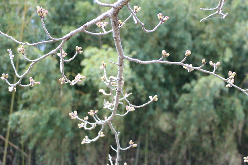 c0178009_23251446.jpg