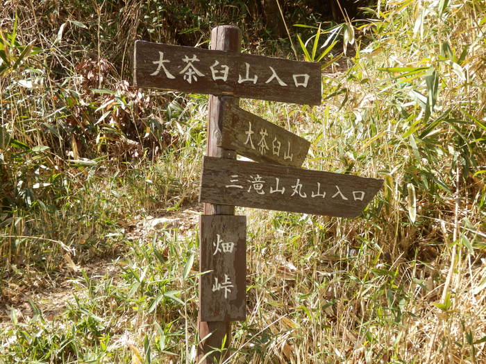 f0219710_74776.jpg