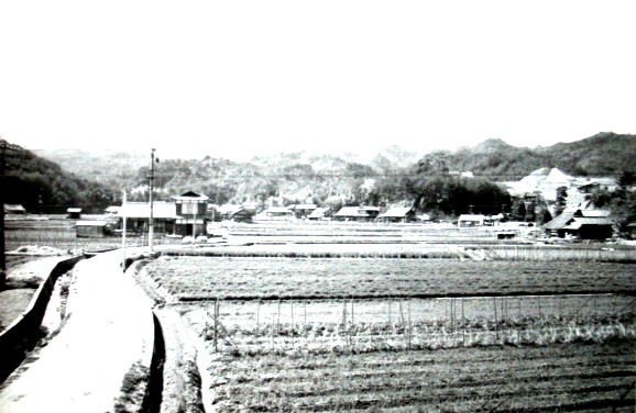 e0125014_949526.jpg