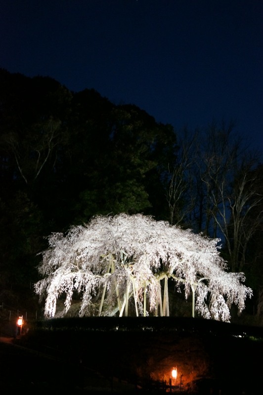 岡崎　奥山田のしだれ桜編　その４_e0292414_21201157.jpg