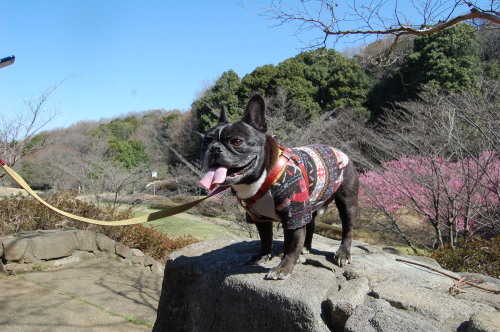 県立四季の森公園_b0113232_22234733.jpg