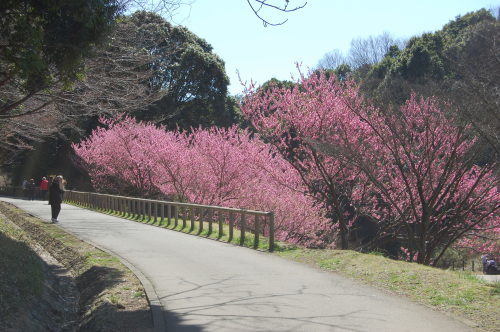 県立四季の森公園_b0113232_22334736.jpg