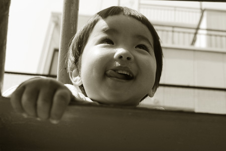 まめぴー、2歳。_d0227246_1357341.jpg