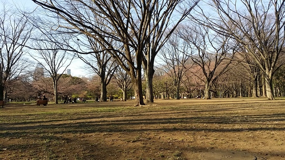 f0188652_84103.jpg