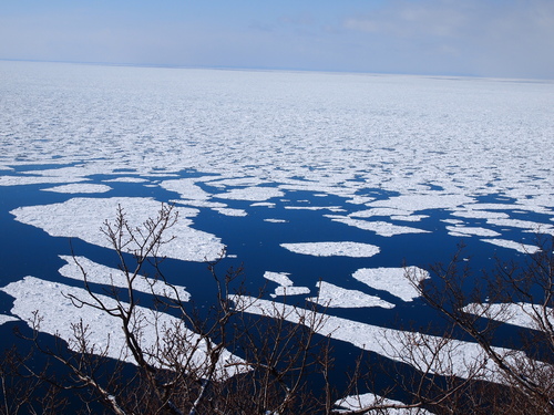 b0286969_21383779.jpg