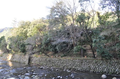 b0221071_30469.jpg