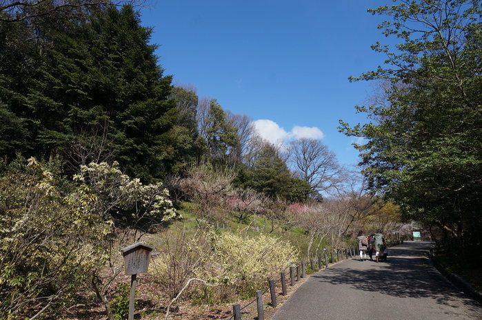 初東山植物園は入り口を確かめるのじゃ、_d0128883_911241.jpg