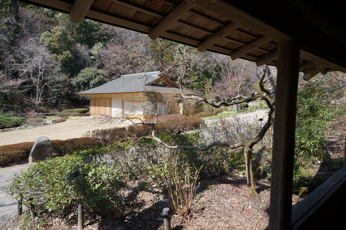 初東山植物園は入り口を確かめるのじゃ、_d0128883_933994.jpg