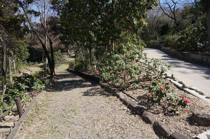 初東山植物園は入り口を確かめるのじゃ、_d0128883_984090.jpg