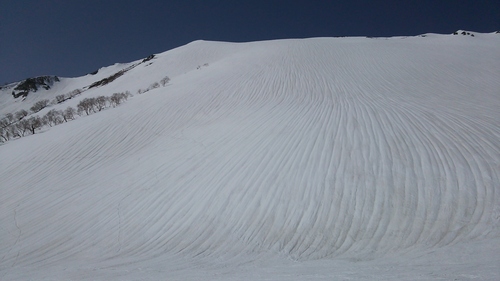 e0015490_20453437.jpg