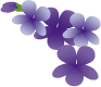f0353990_19394560.gif