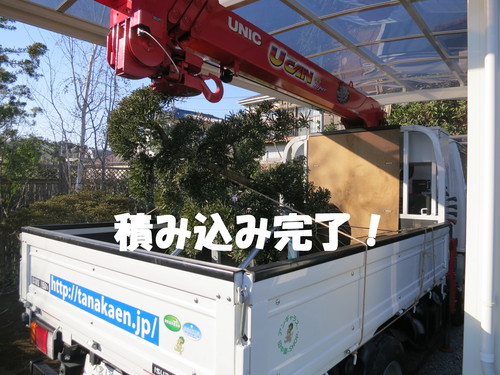 マクドナルドのCMに出演したったｗｗｗ_b0200291_2251221.jpg