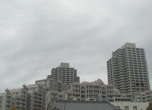 ●大阪府立図書館への道_d0053294_1415067.jpg