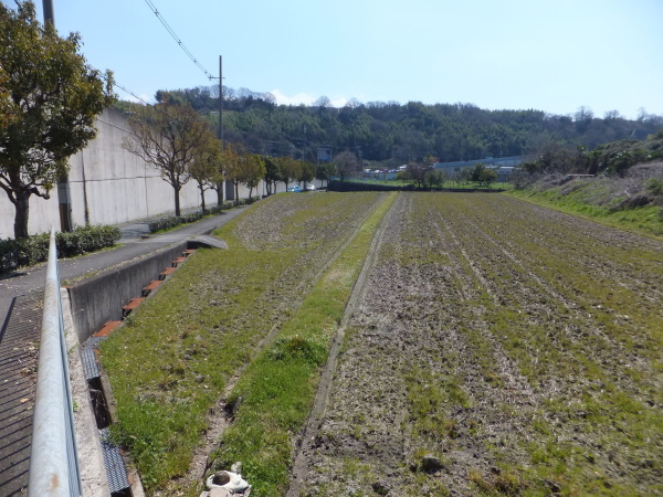 歩こう　緑地を見に行こう　（12）南花台第1緑地_b0212898_20122788.jpg