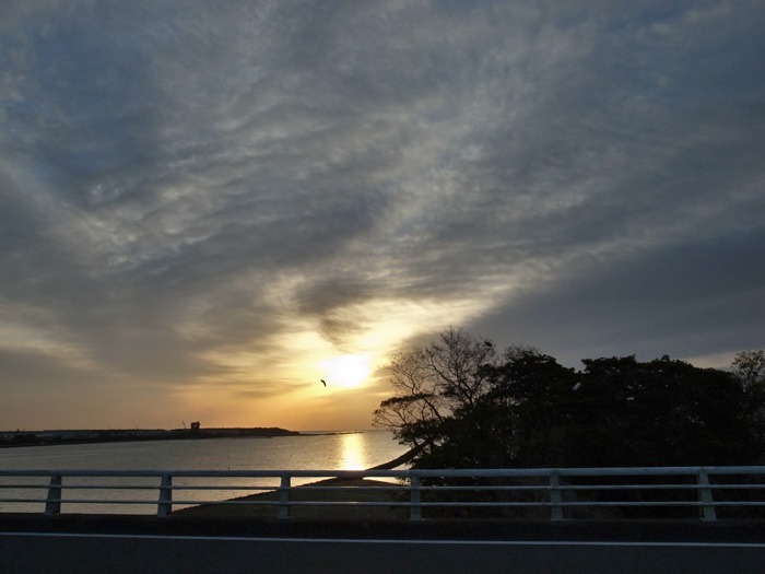 c0049299_22153170.jpg