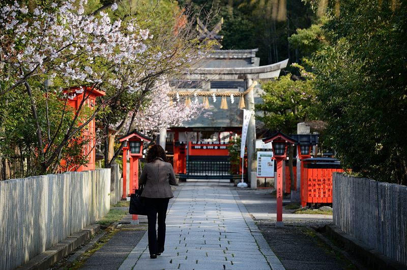 車折神社の桜　其の二_f0032011_1947276.jpg