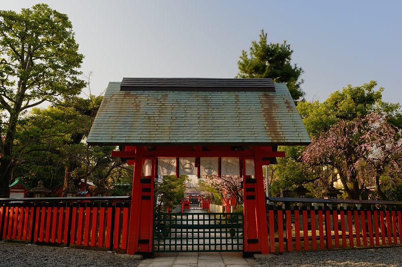 車折神社の桜　其の二_f0032011_19521179.jpg