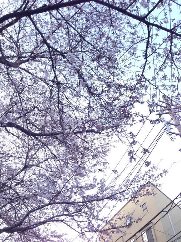 e0052534_22151623.jpg