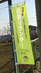f0038336_77835.jpg
